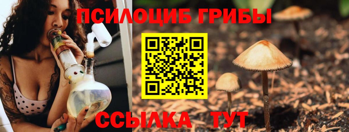 Галлюциногенные грибы Magic Shrooms Воркута